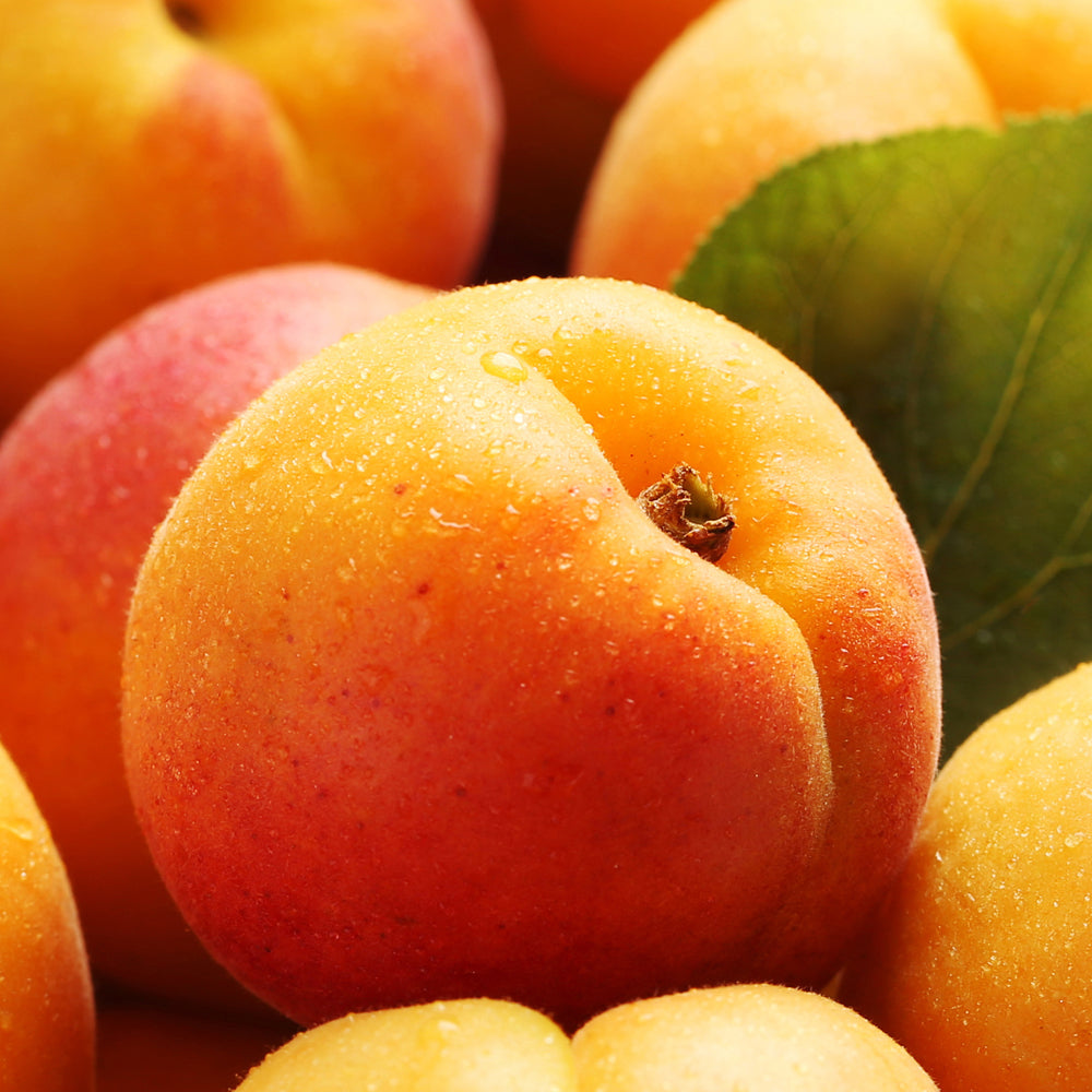 Apricot Infused Skincare & Makeup