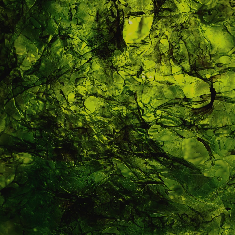Nori Extract Infused Skincare